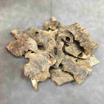 Premium Bigger Size Agarwood Oud Wood Pieces for Incense