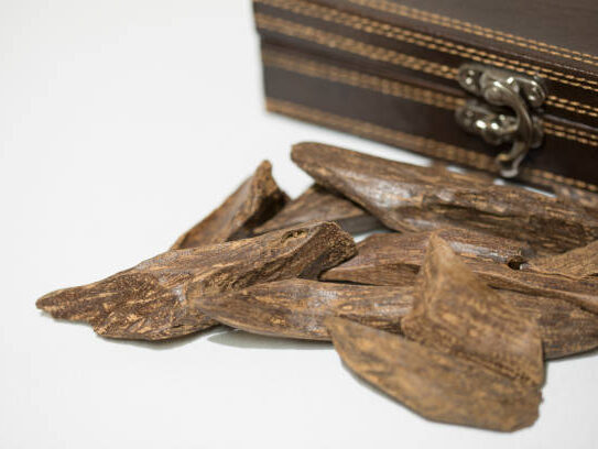 copeaux de bois d'agar