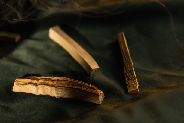 Agarwood Formation