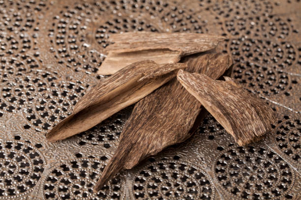 agarwood characteristics