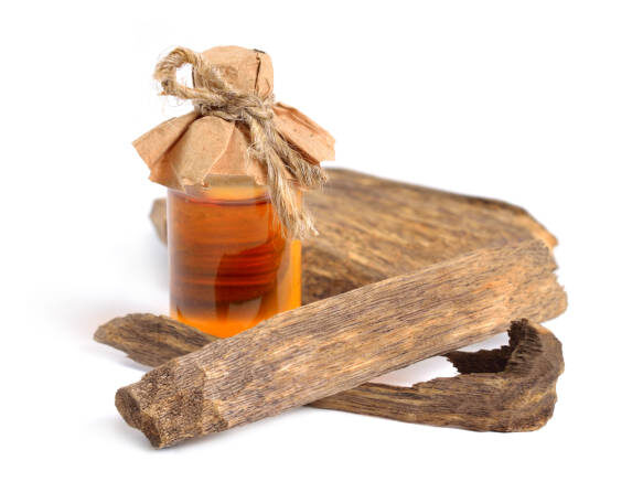 عطر العود